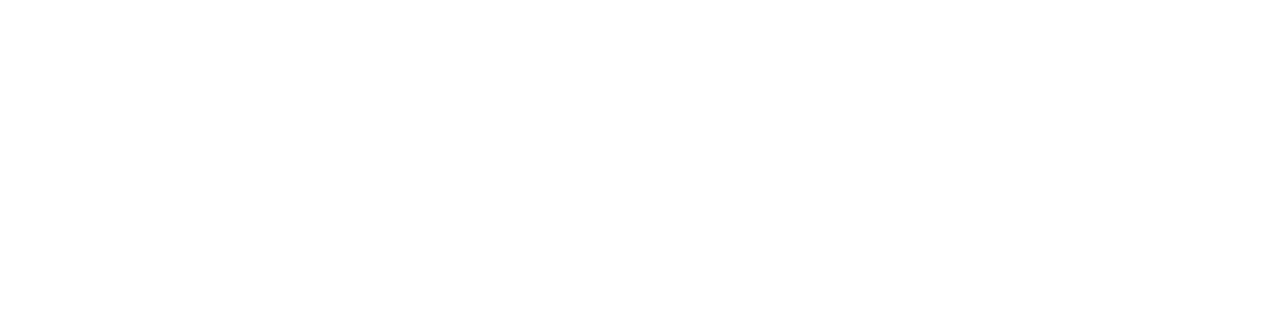 inspectify logo white