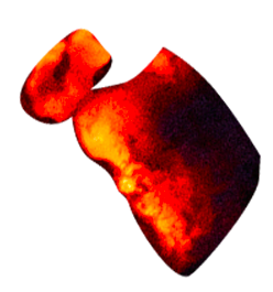 multiEmbers multiEmbers
